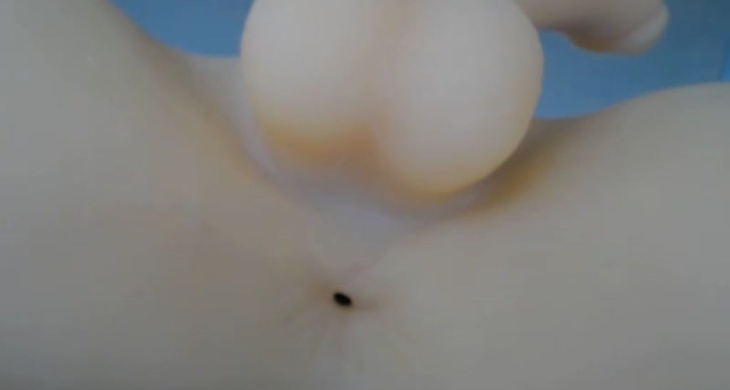 Skye_Evans_ video thumbnail