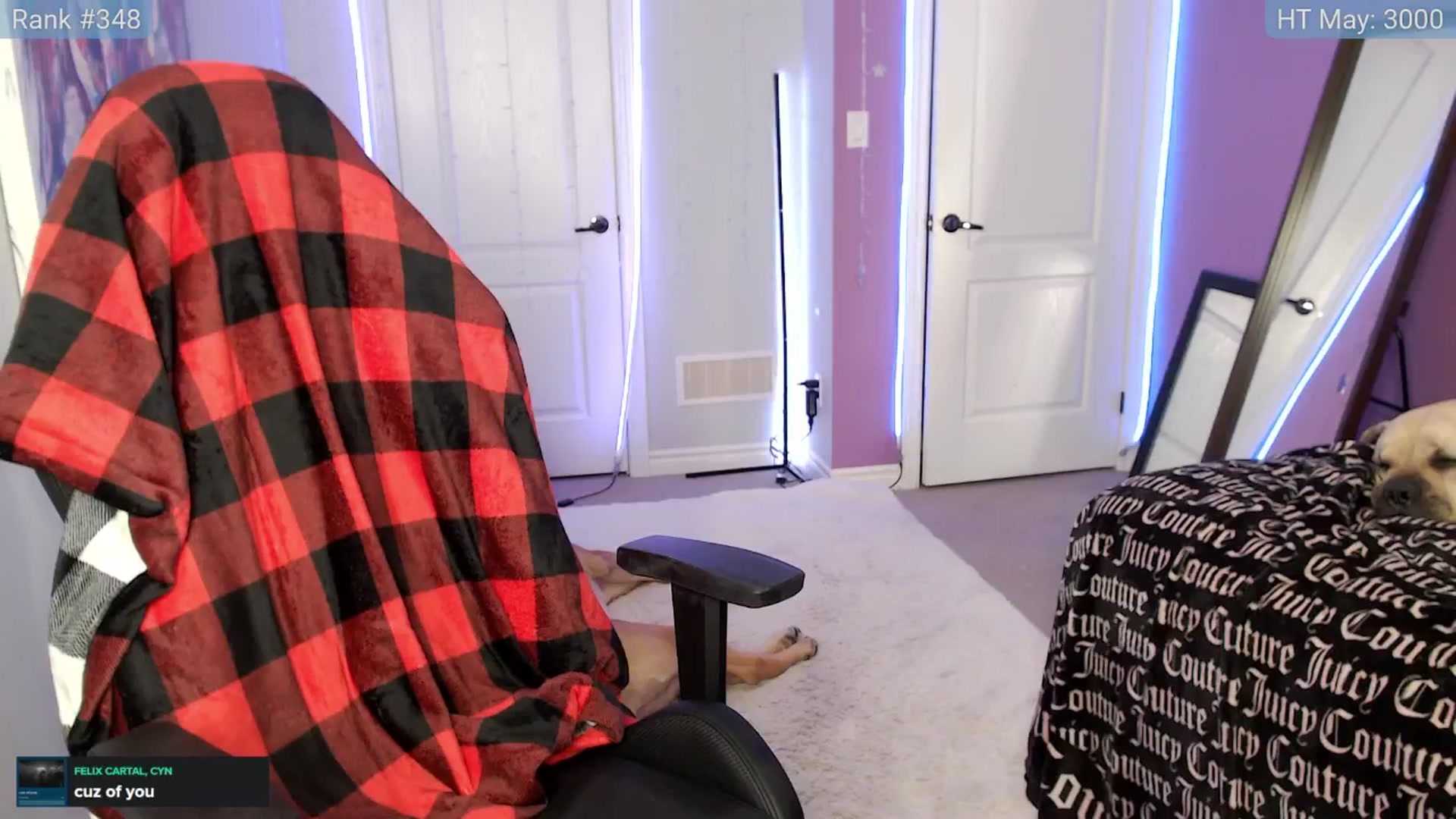 HaileeCameron video thumbnail