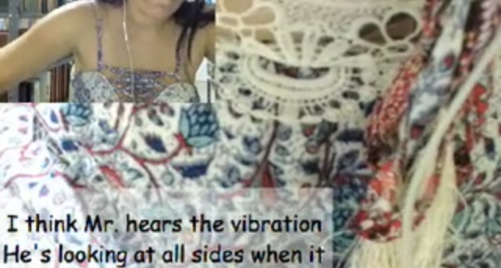 Swhotladyxxx video thumbnail