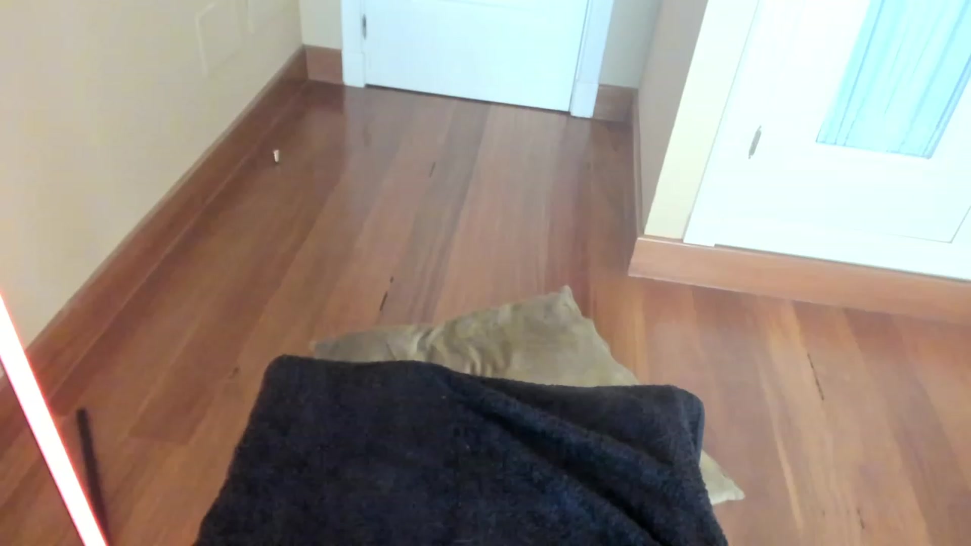 AdaraBunny video thumbnail