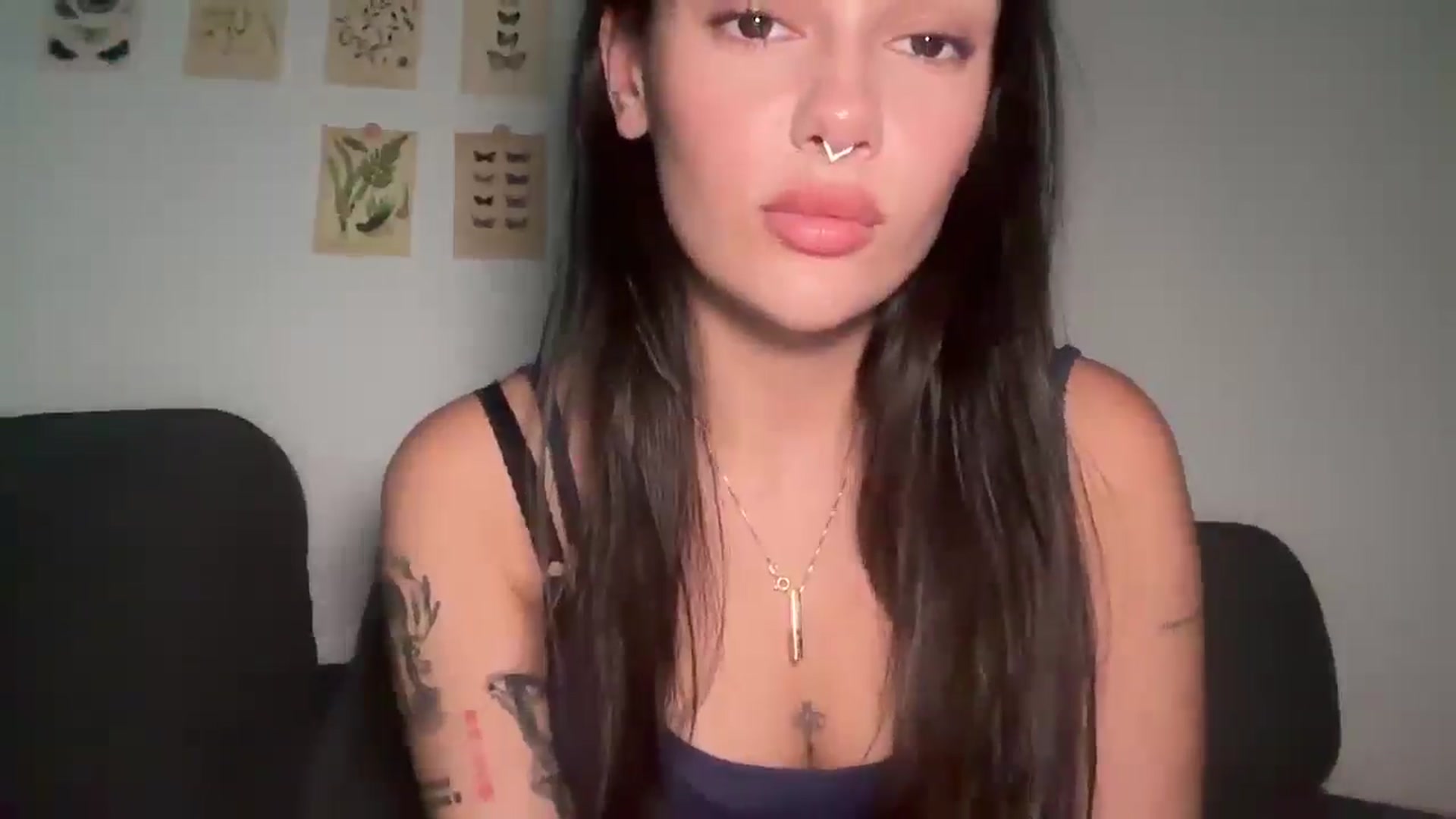 mayflowers video thumbnail