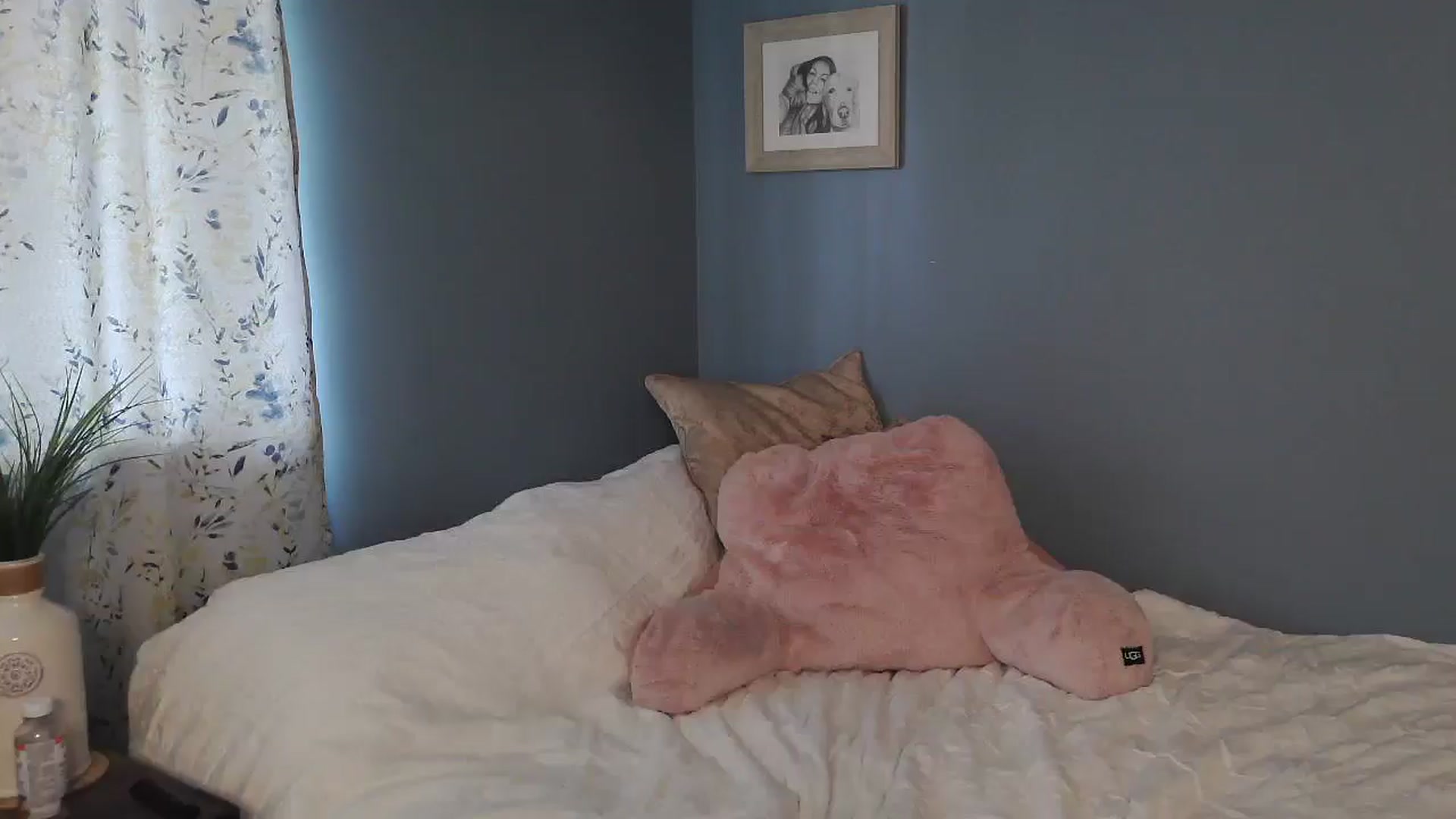 sapphirefox video thumbnail