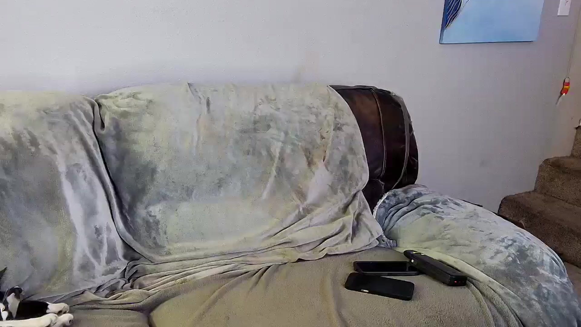 LexiFoxx video thumbnail