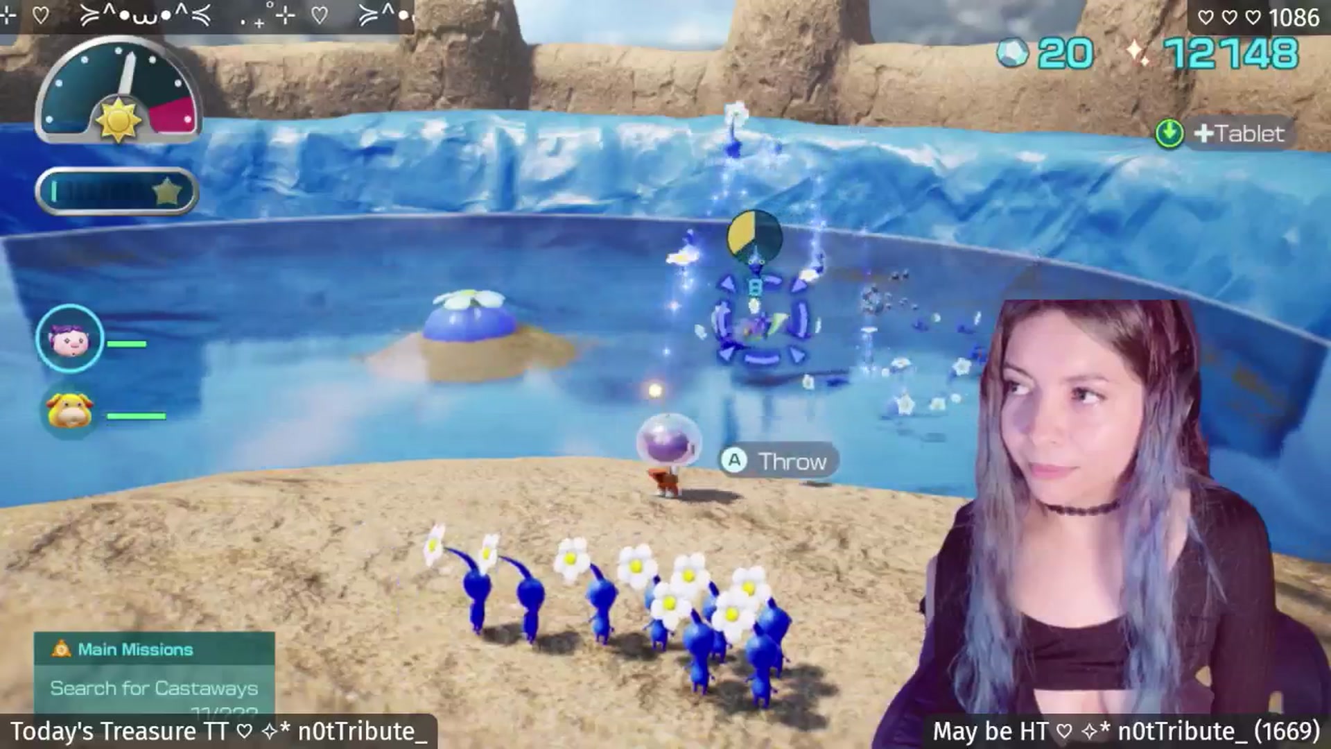 Catwave video thumbnail