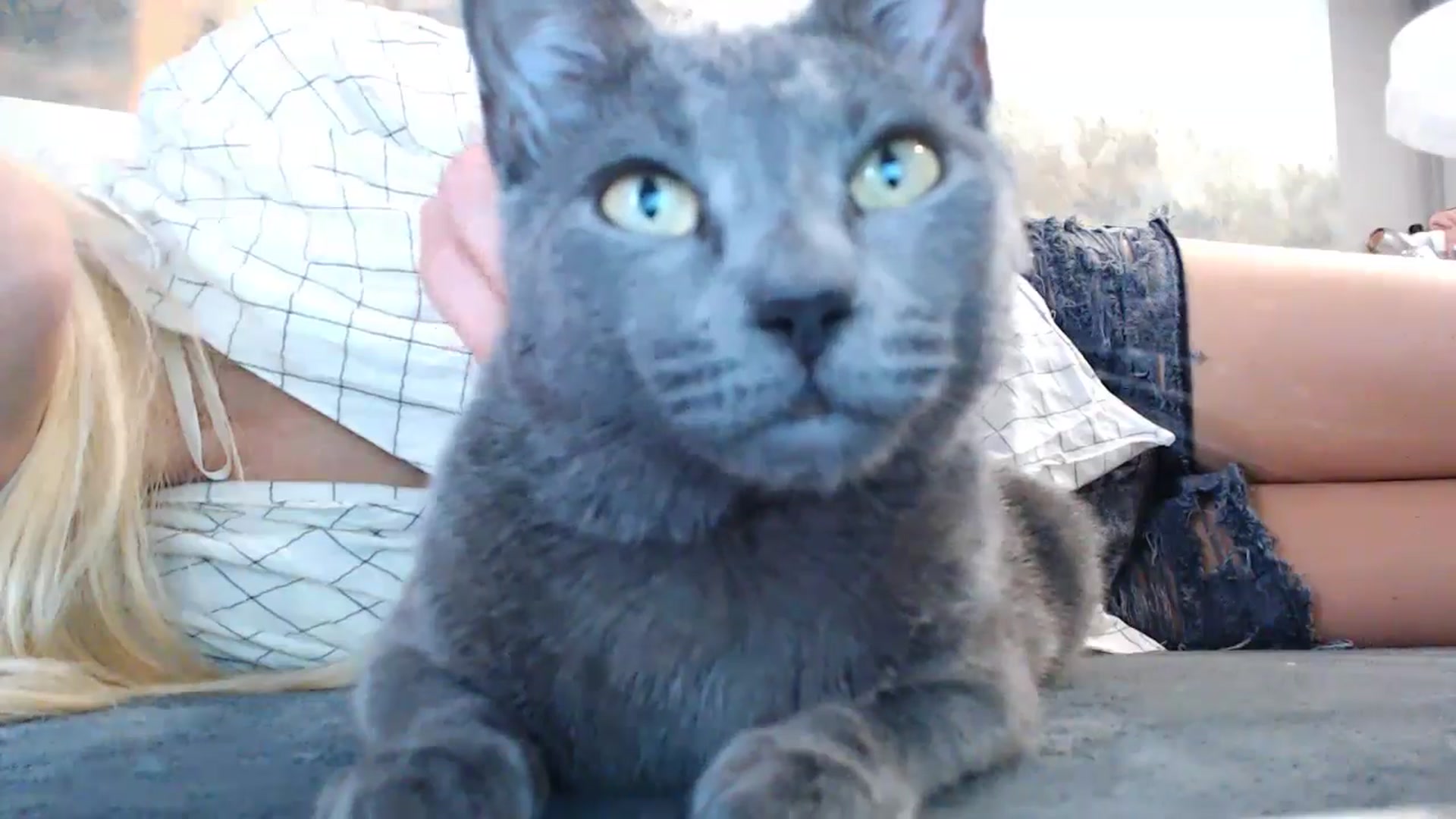 fiancee video thumbnail