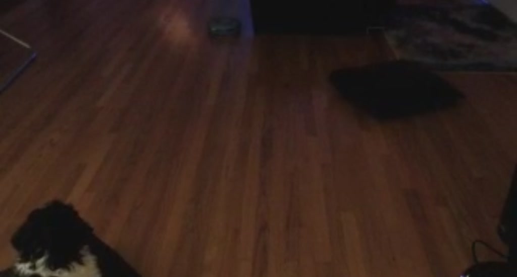 Ashe_Maree video thumbnail