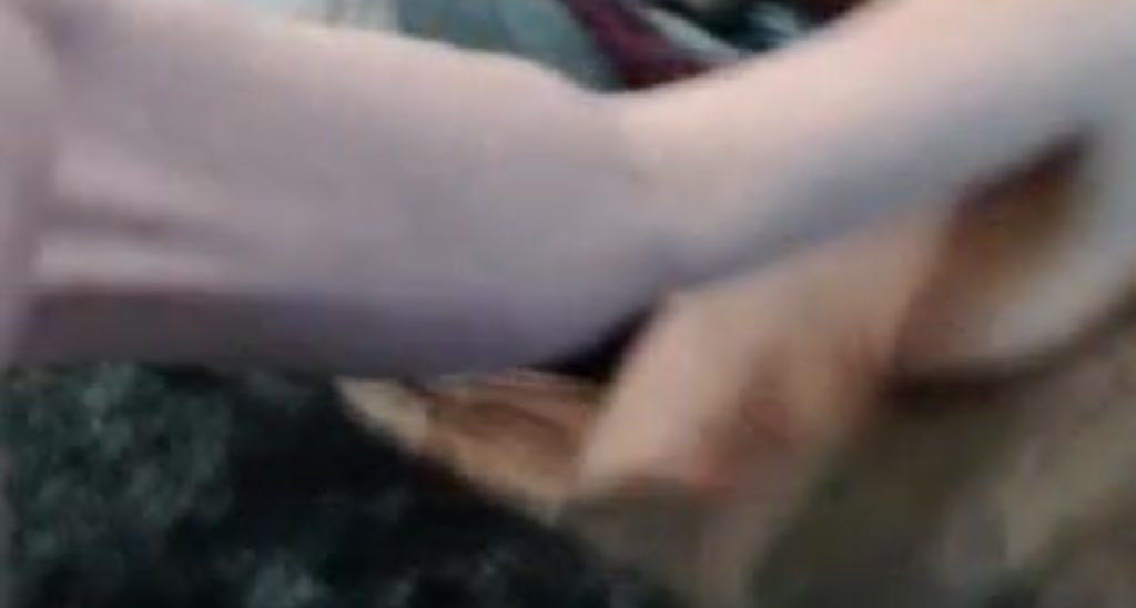 WinnDixiee video thumbnail