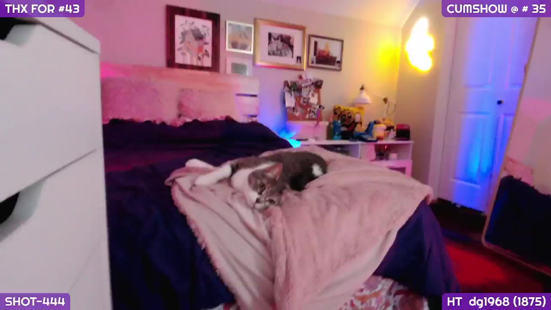 MollySnacks video thumbnail