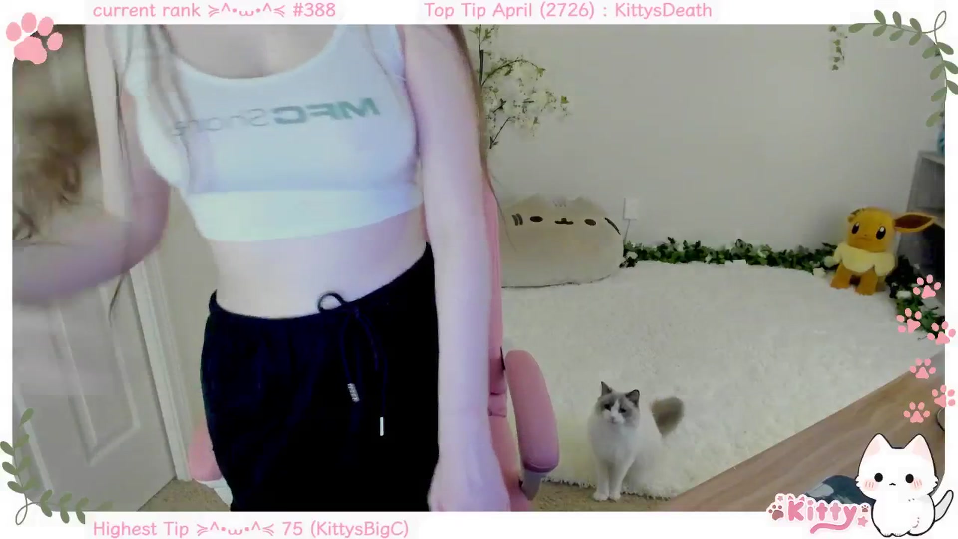 Kitty video thumbnail