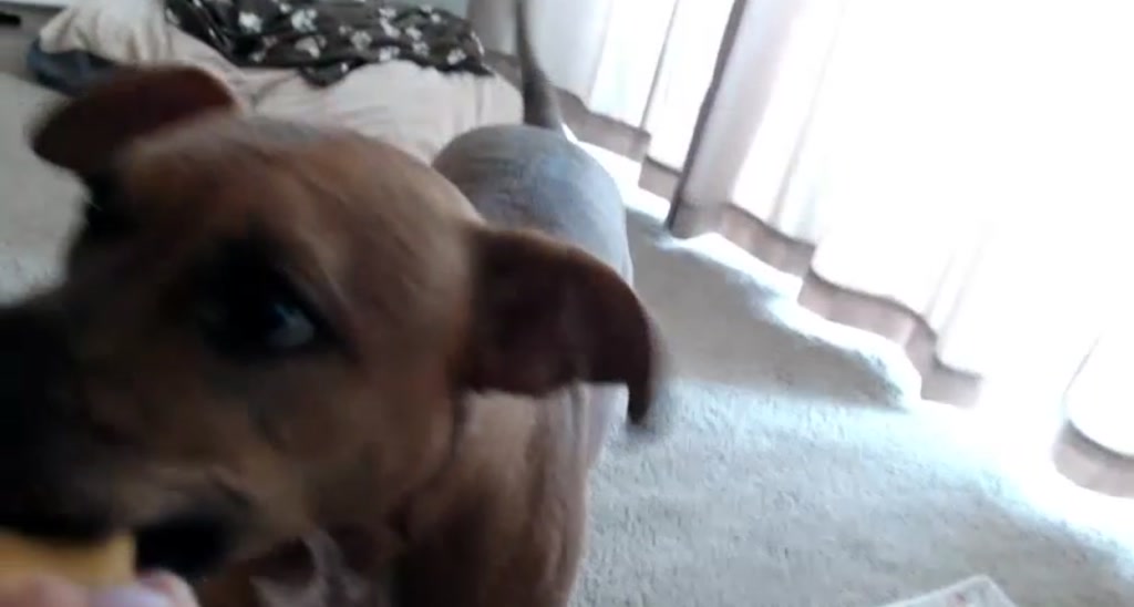 HallieHarper video thumbnail