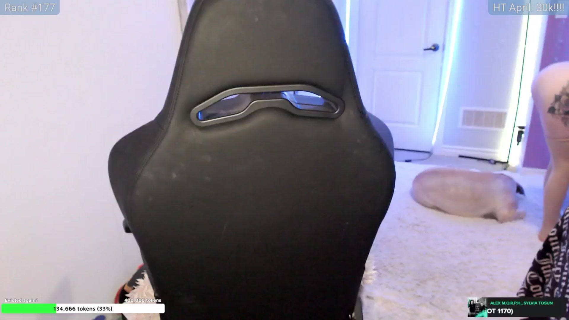 HaileeCameron video thumbnail
