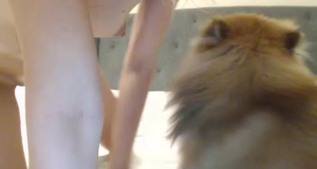 LondonRae video thumbnail