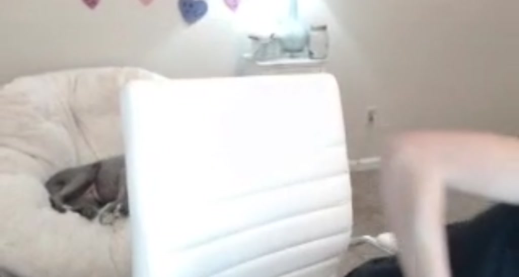 Bunni_ video thumbnail