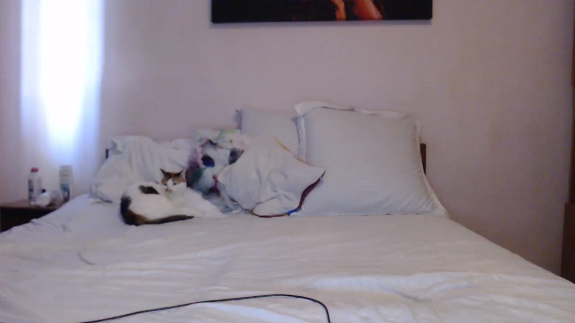 Aahh_Emilia video thumbnail