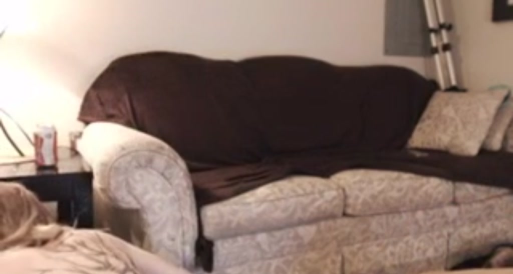 LittleLexie video thumbnail