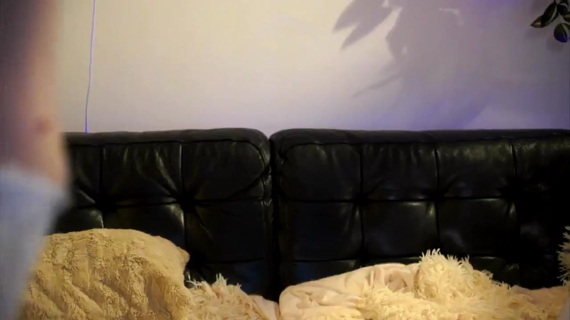 petitegonwild video thumbnail