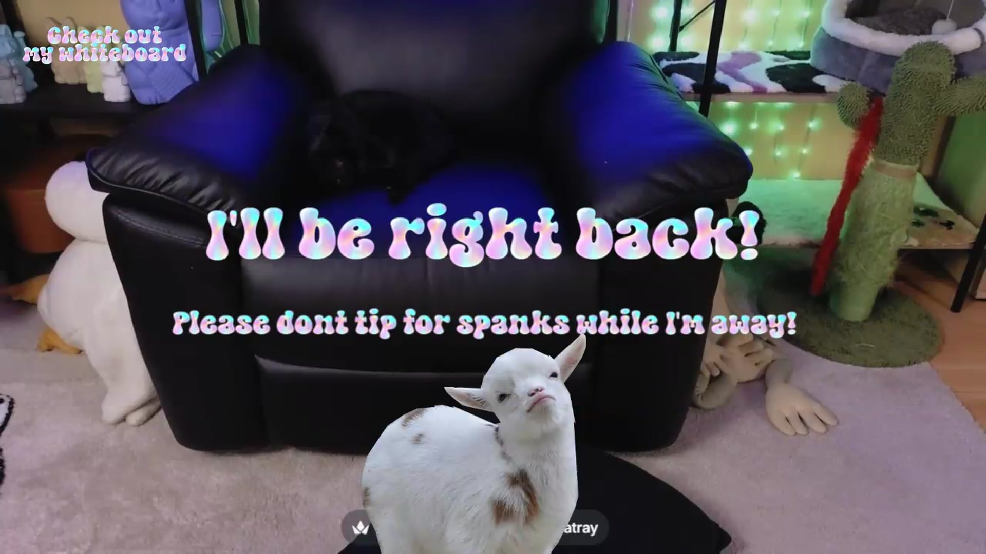 TamaraRay video thumbnail