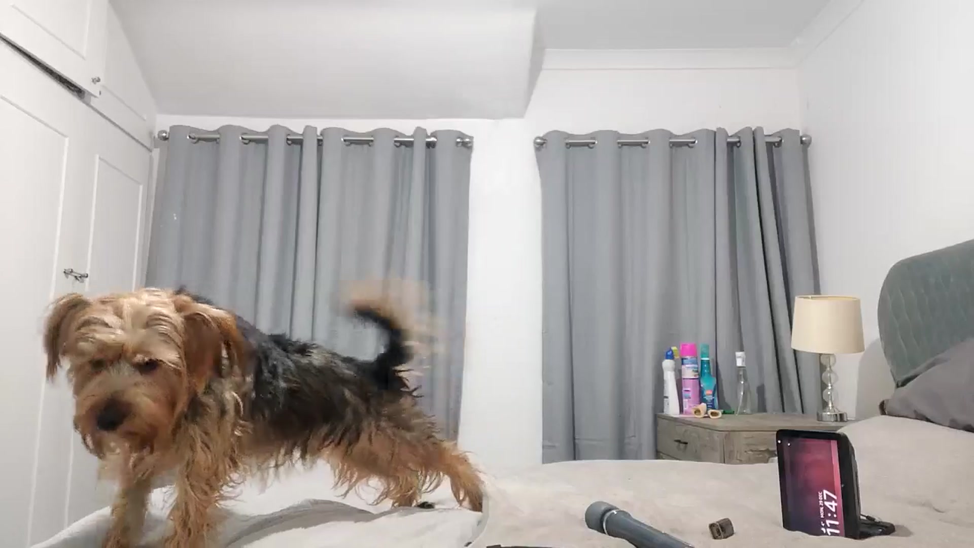RiaMartinez video thumbnail