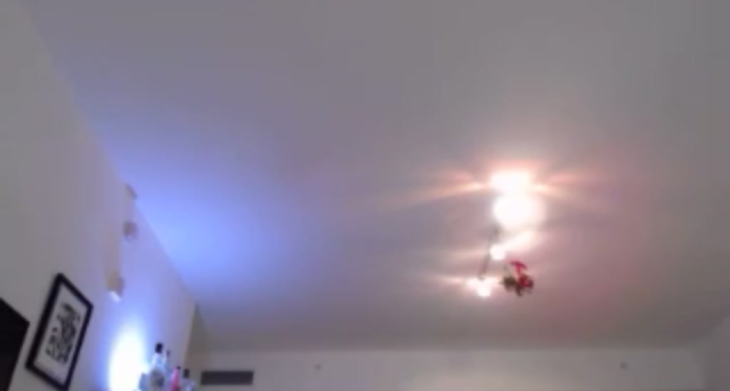 LilaPearl video thumbnail