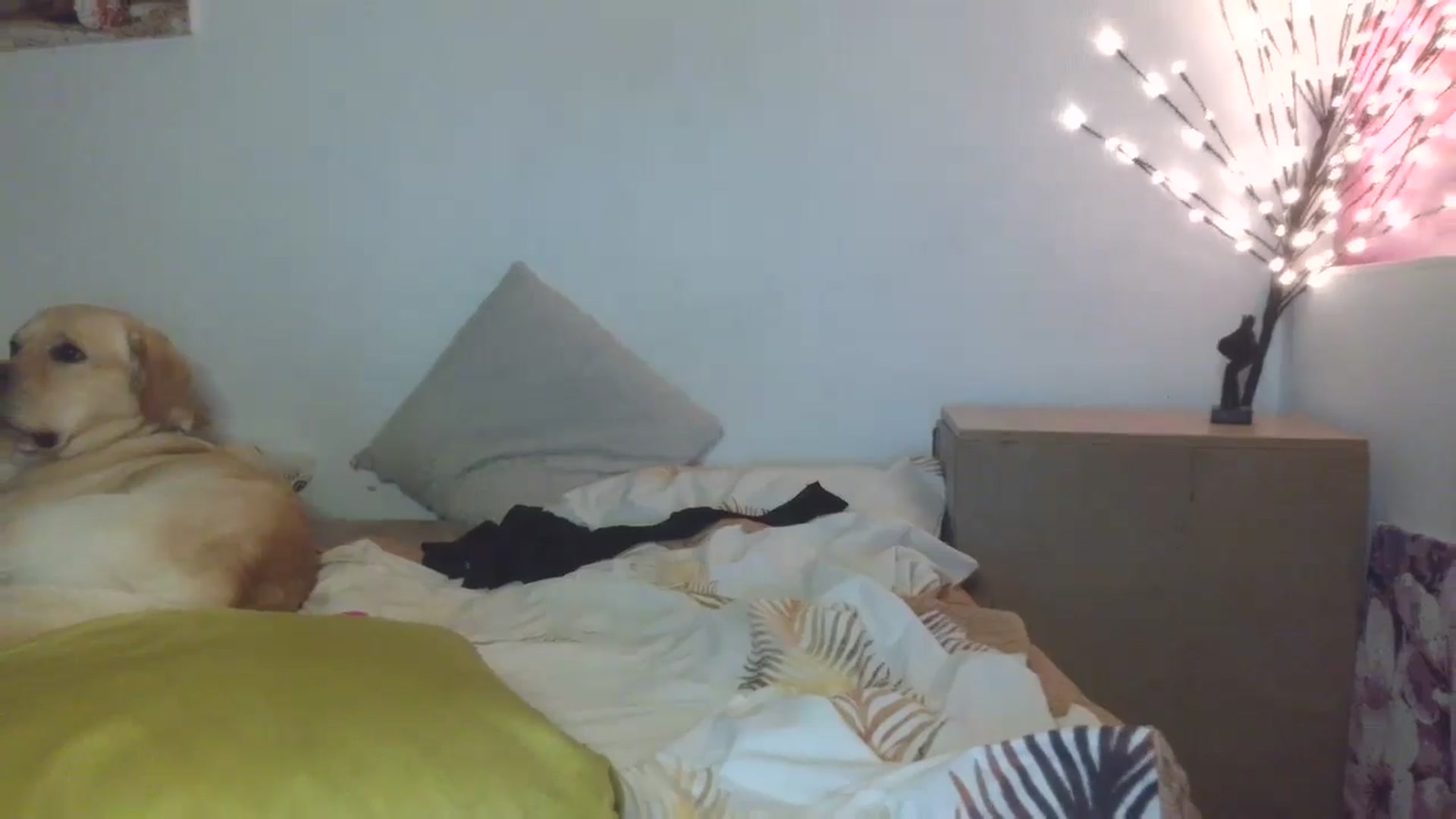 HaleyReed video thumbnail