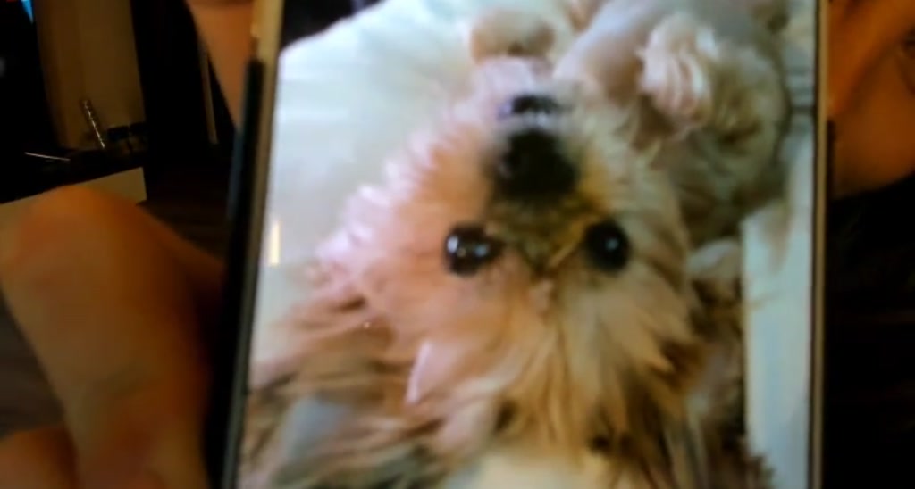 Alesia_ video thumbnail