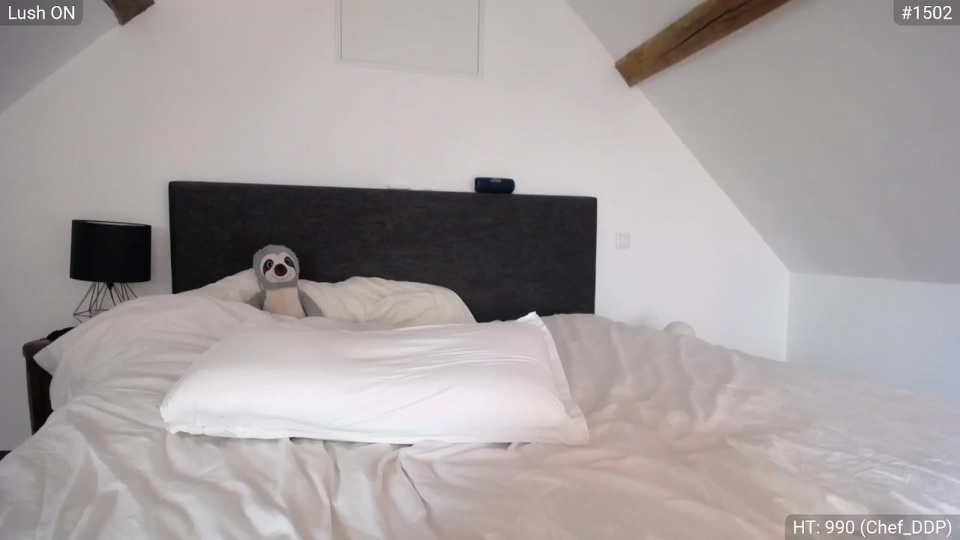 Bootysaur video thumbnail
