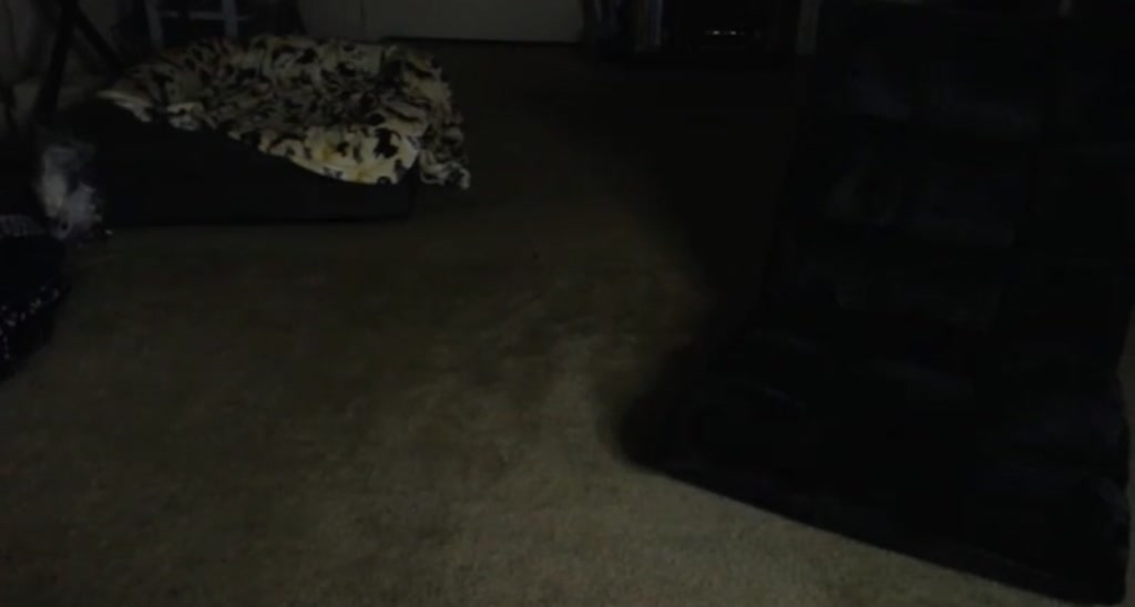 Monica video thumbnail