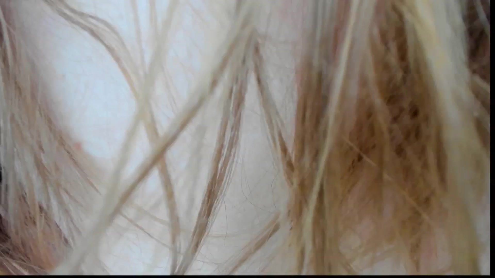 Loopcia video thumbnail