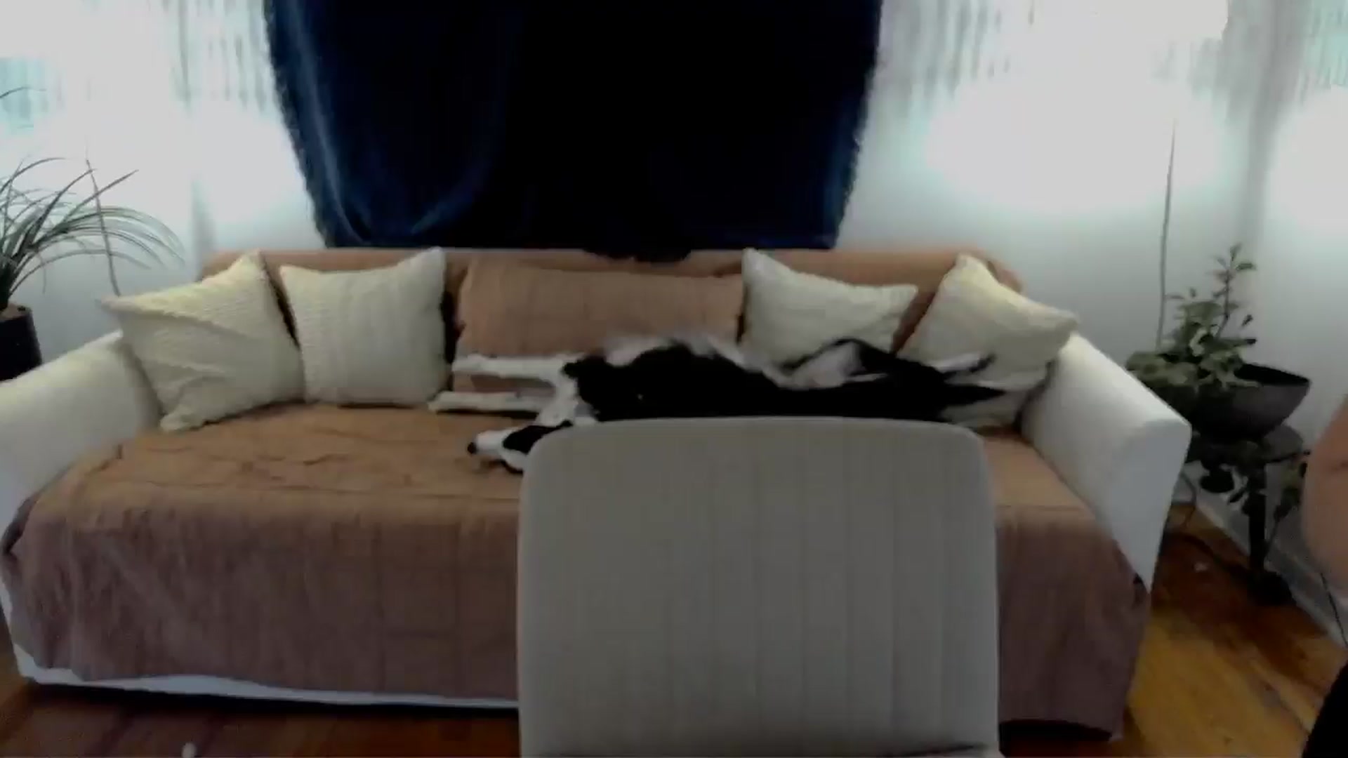 eh1_Scarlett video thumbnail