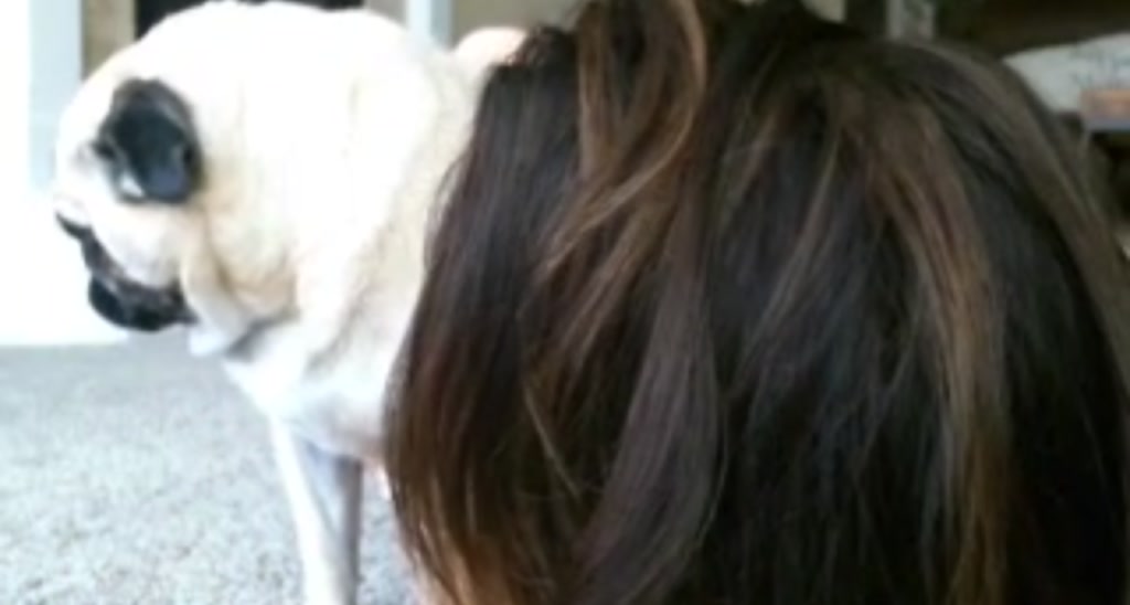 MsCheeks video thumbnail