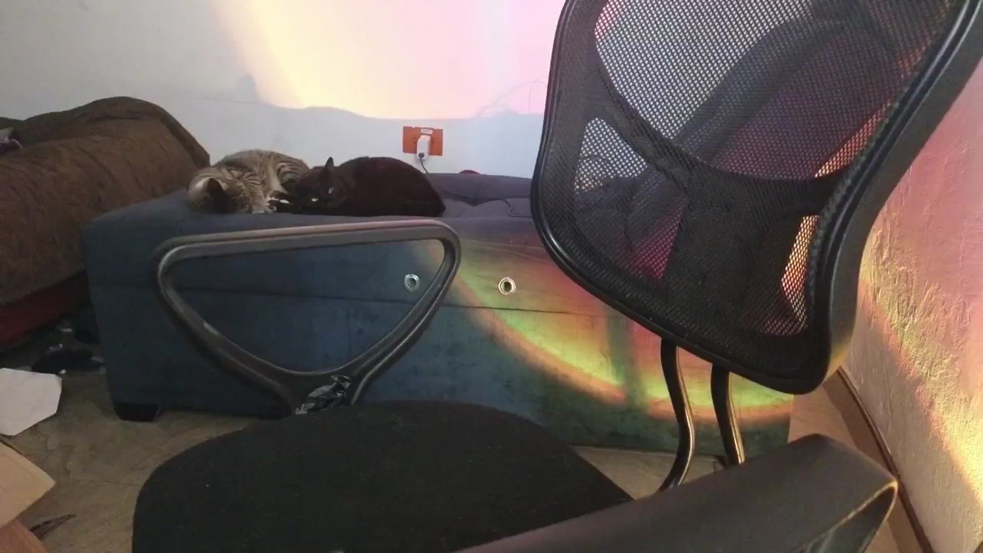 Cofewithmilk video thumbnail