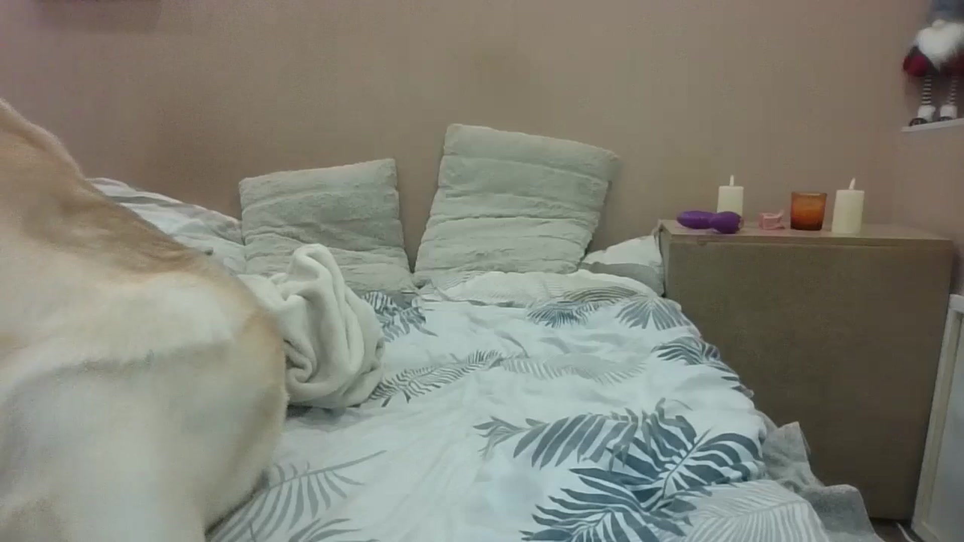 HaleyReed video thumbnail