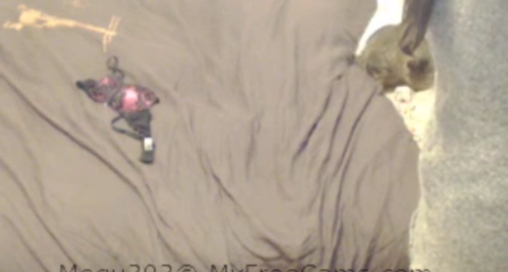 Megu303 video thumbnail