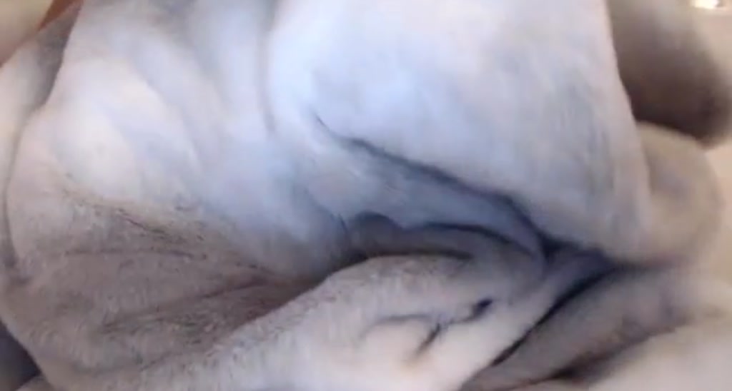 Mollyboots video thumbnail