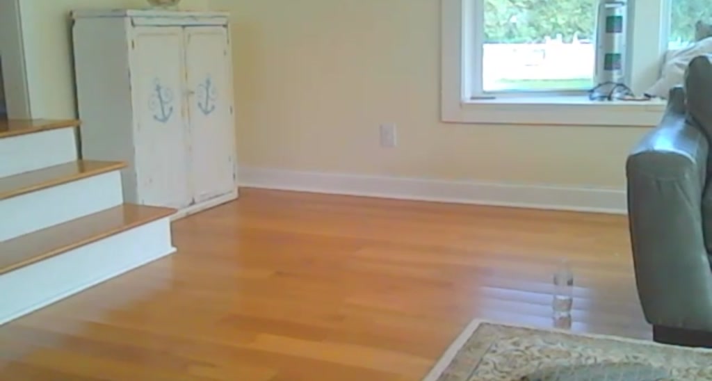 Sammy_Lang video thumbnail