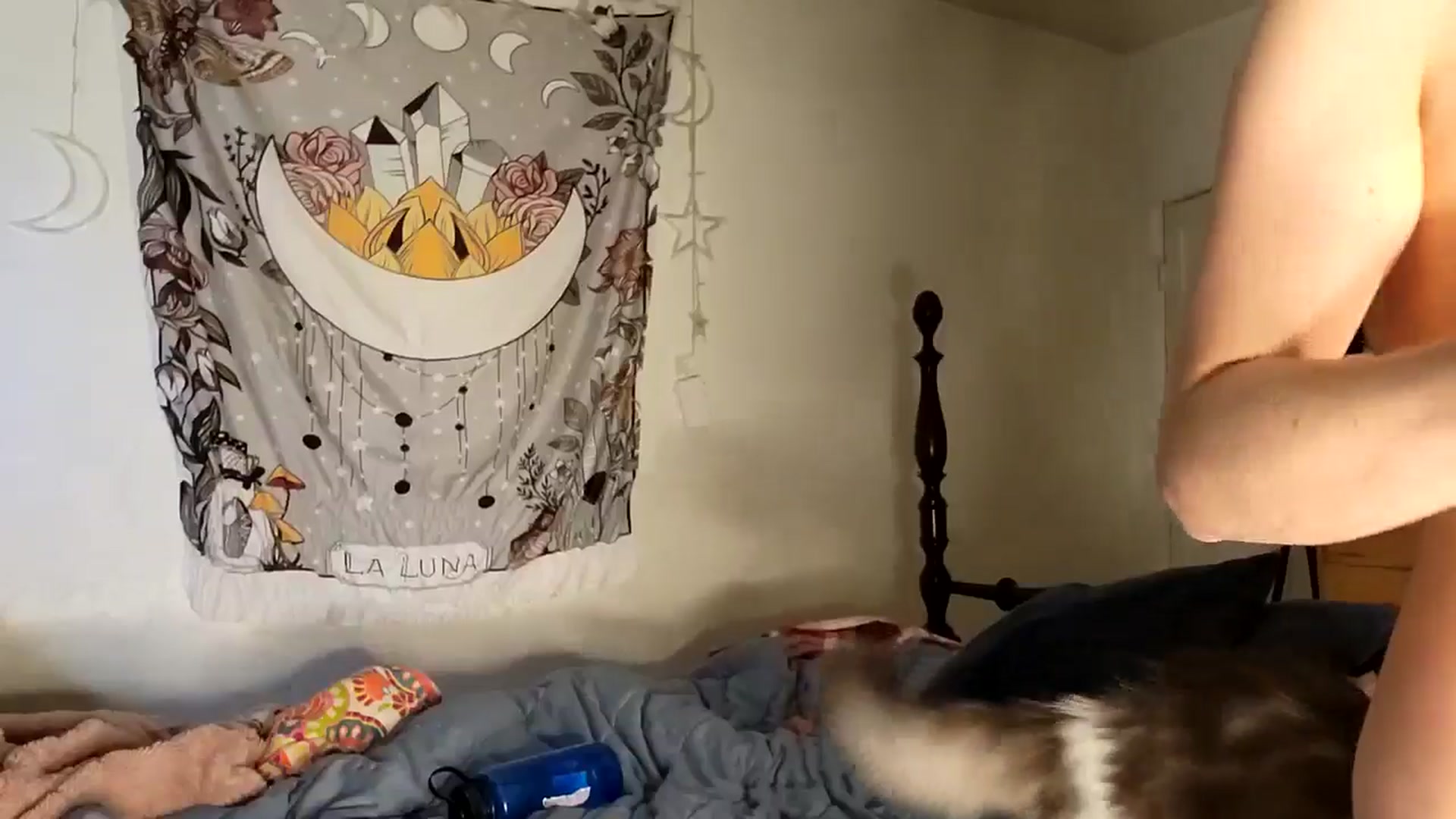 TrollopTaylor video thumbnail