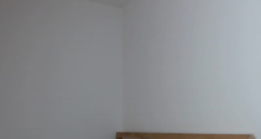 hey_foxy video thumbnail