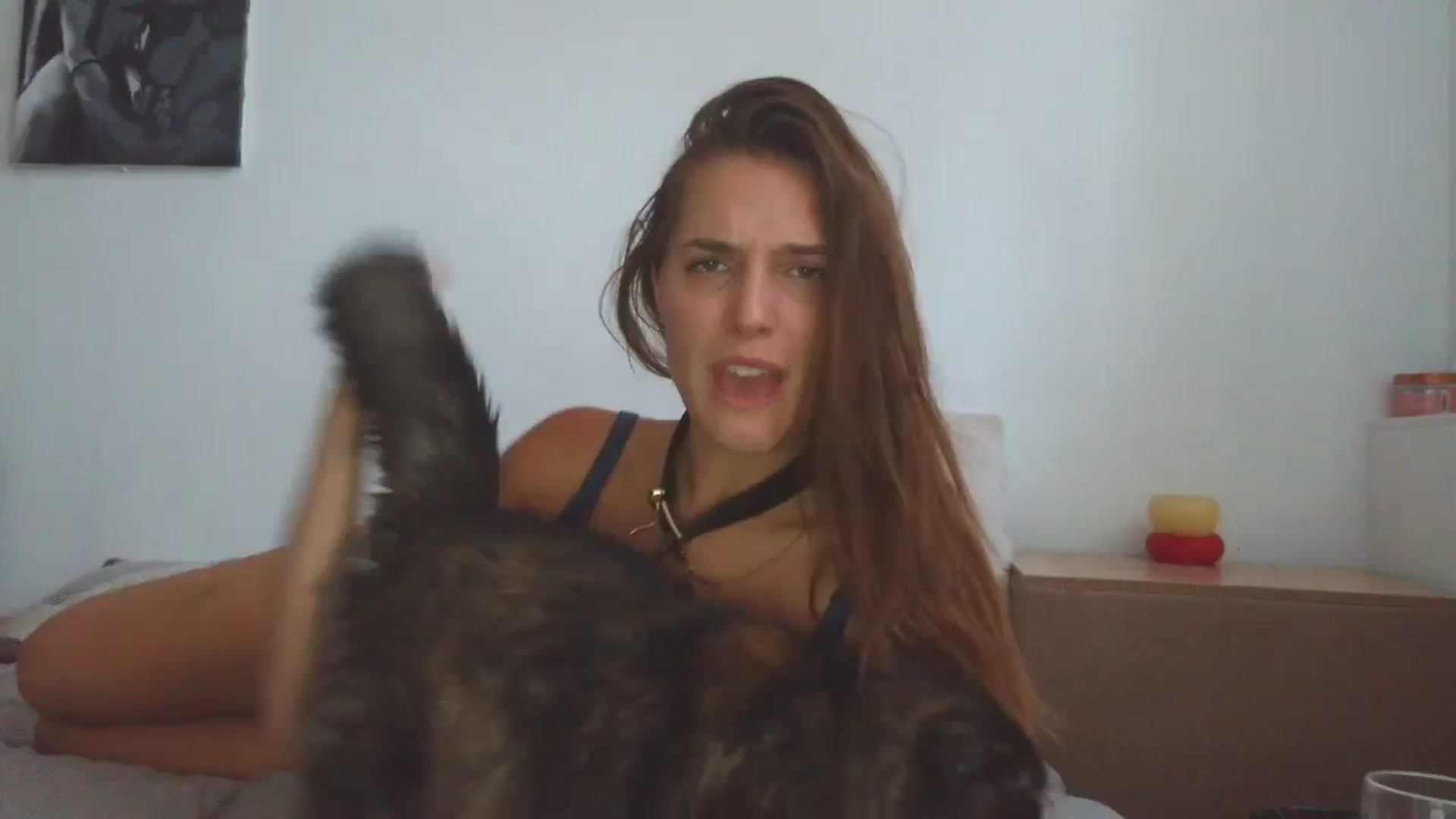 HaleyReed video thumbnail