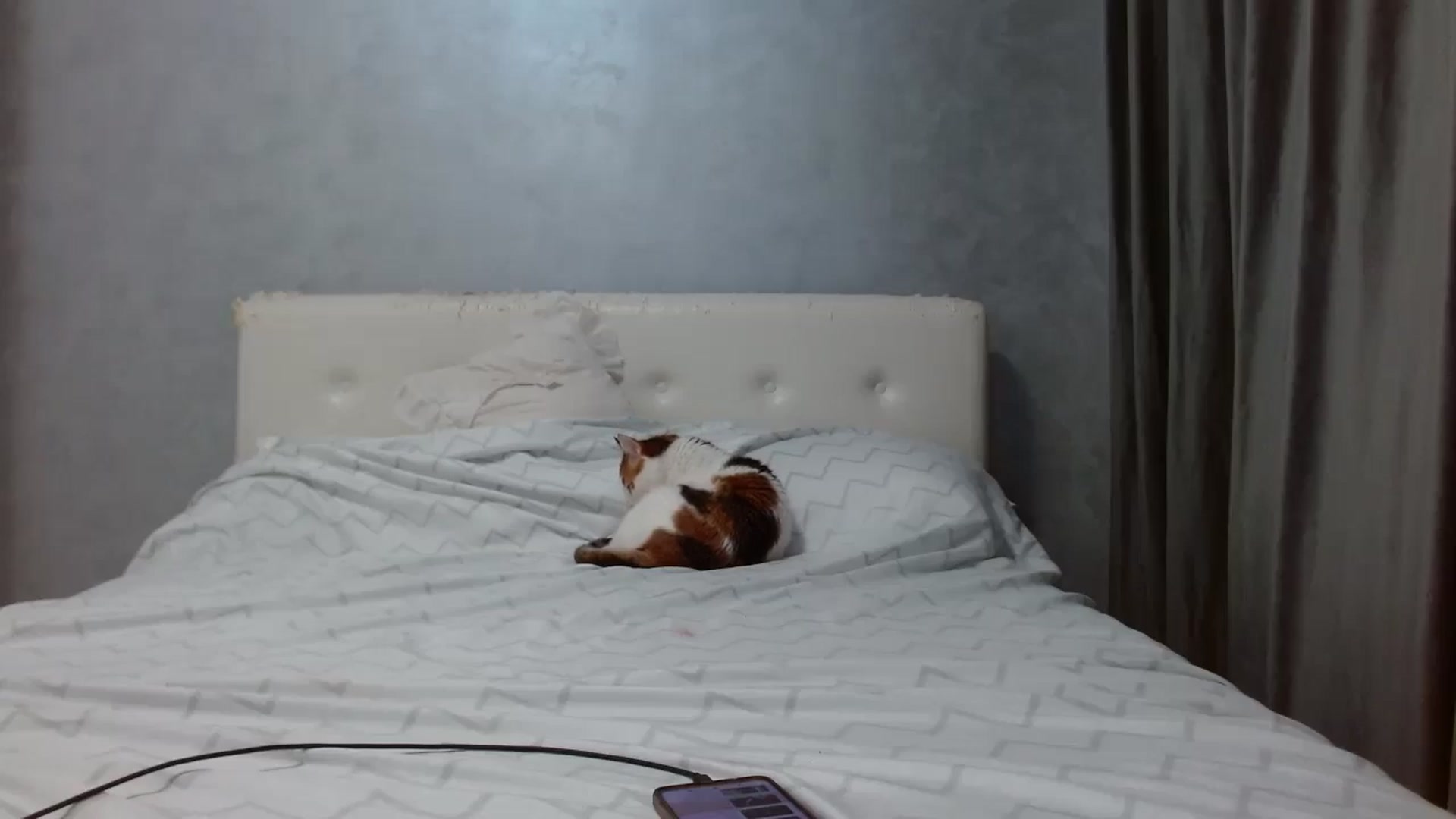 Aahh_Emilia video thumbnail