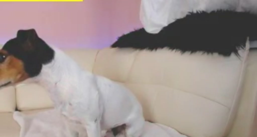 SavannahMay video thumbnail