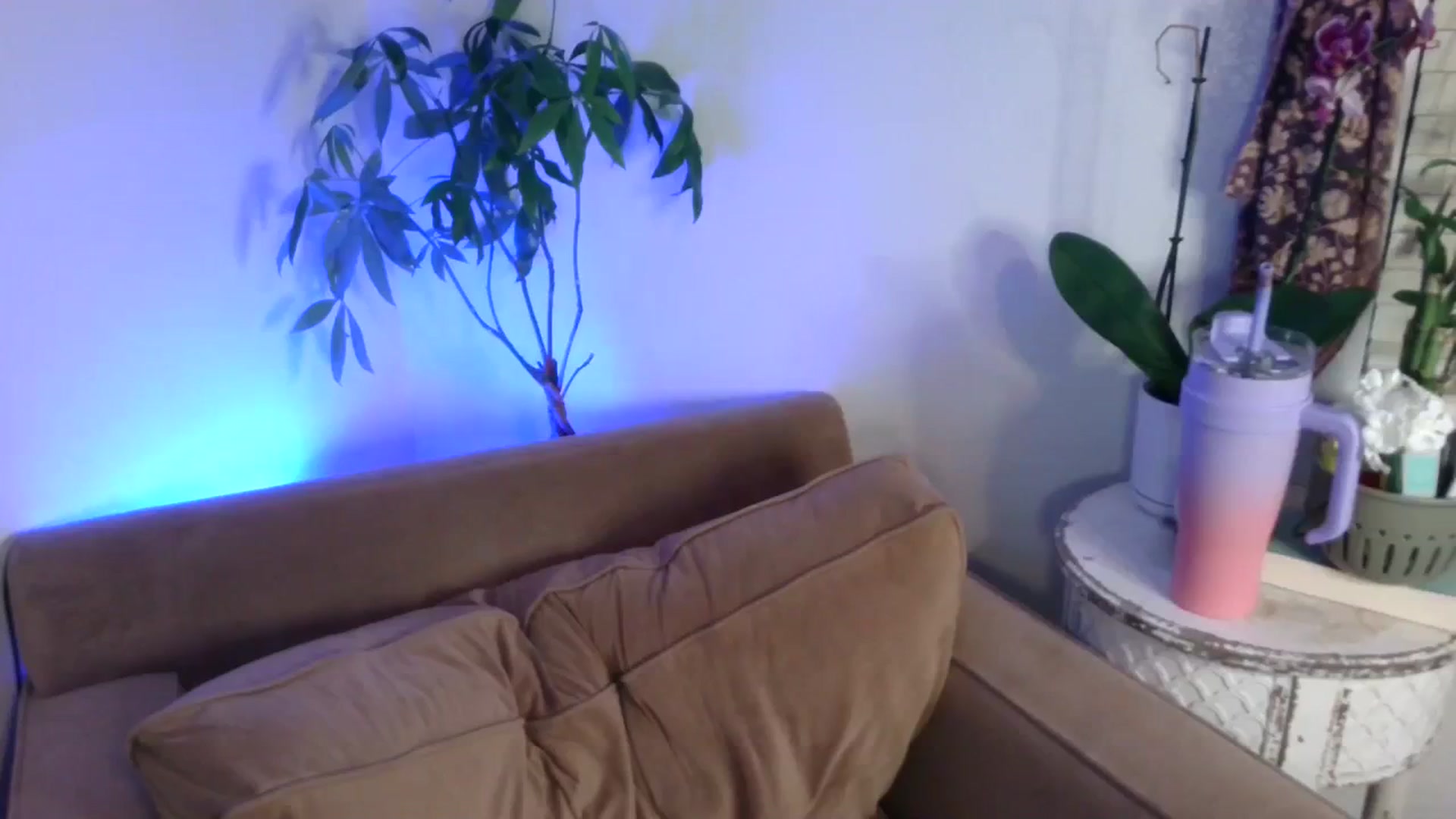 LunarLexxx video thumbnail