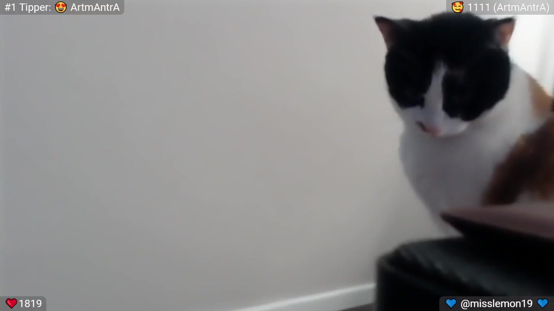 SpicedPeach video thumbnail