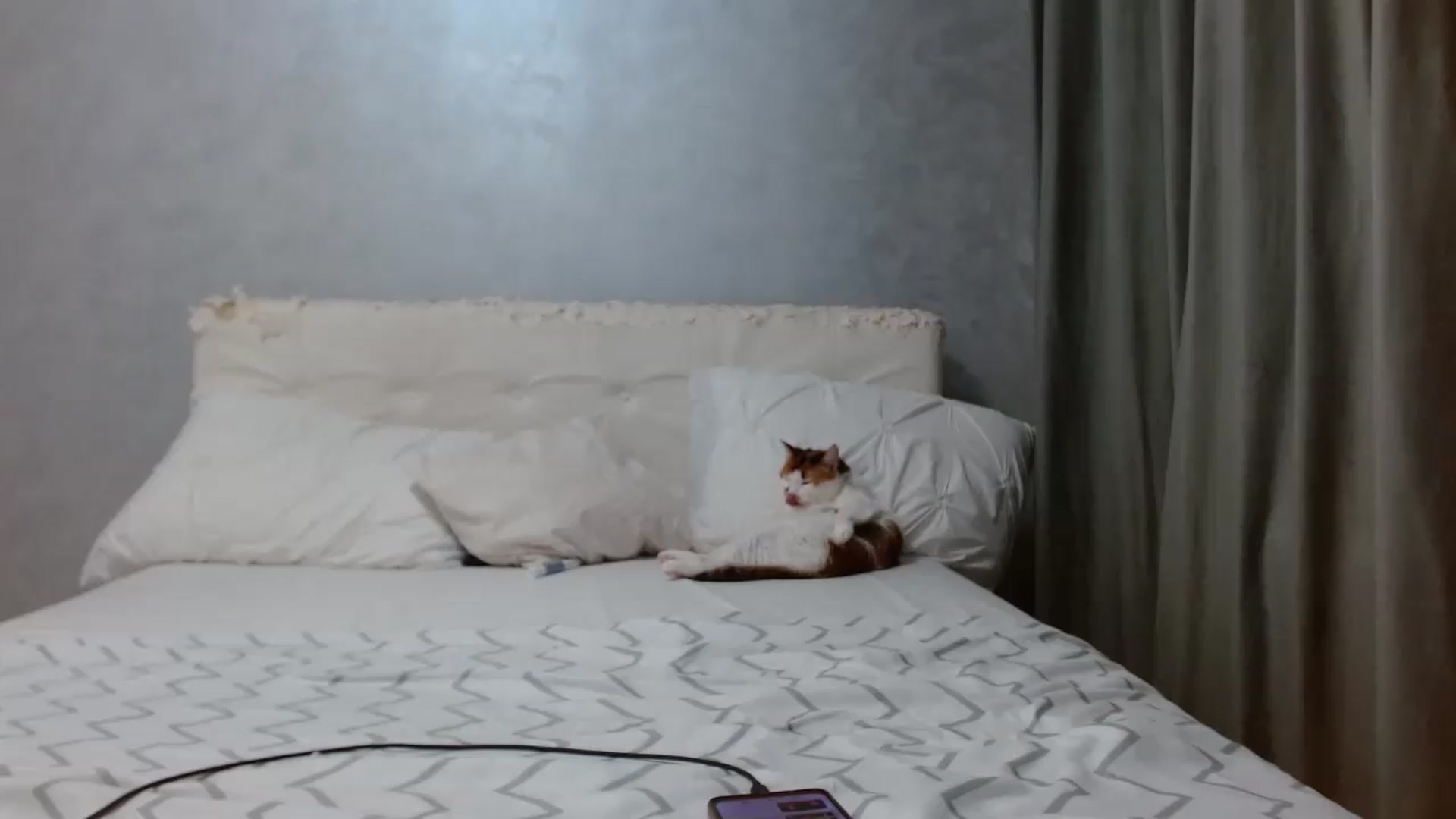 Aahh_Emilia video thumbnail