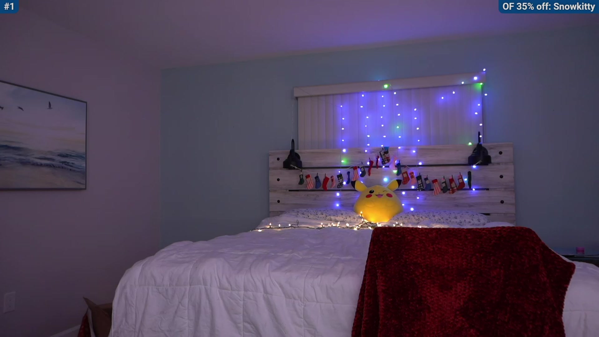 Snowkitty video thumbnail