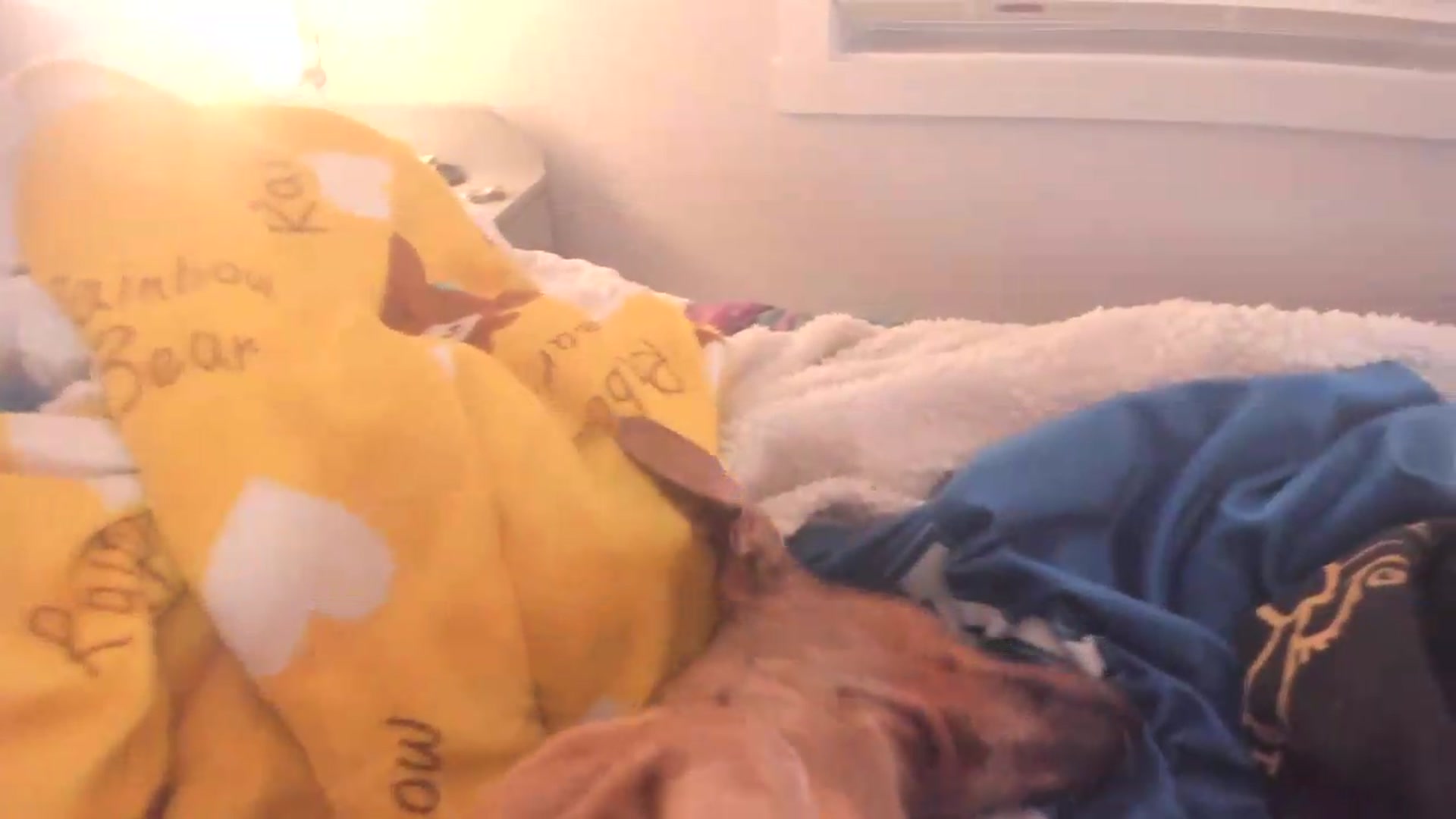 CoralOrgy video thumbnail