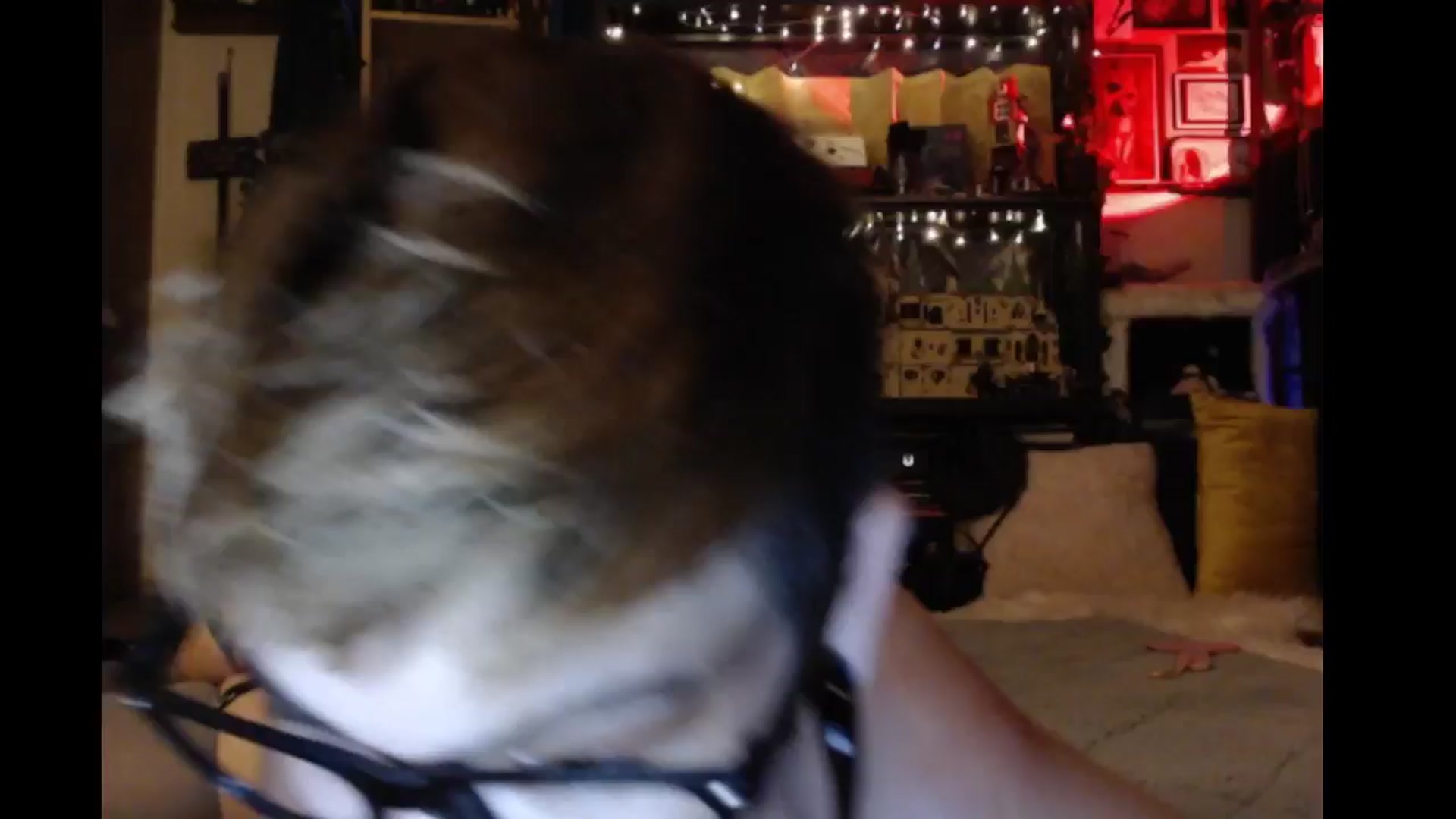 Ancored video thumbnail