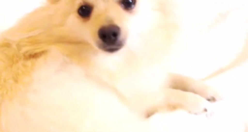 paula_fer video thumbnail