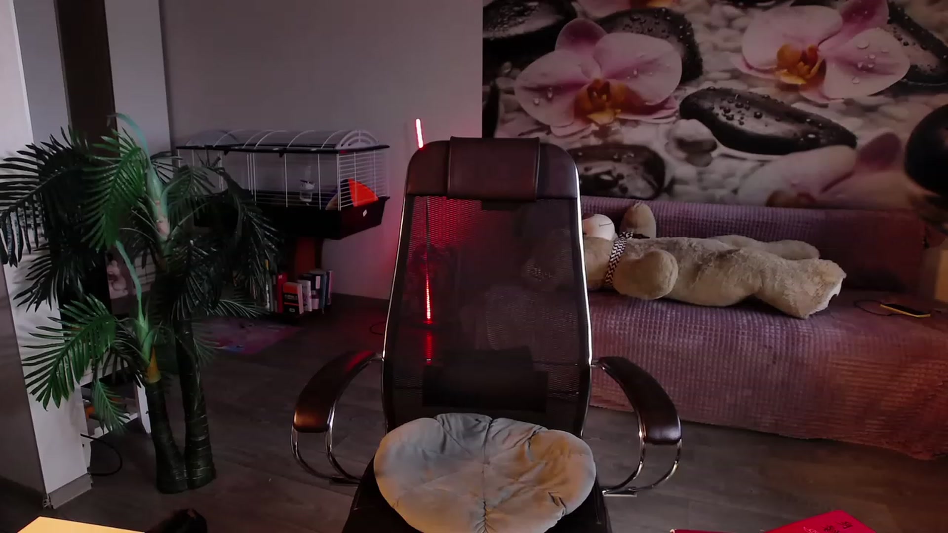 HoneyIAmHome video thumbnail