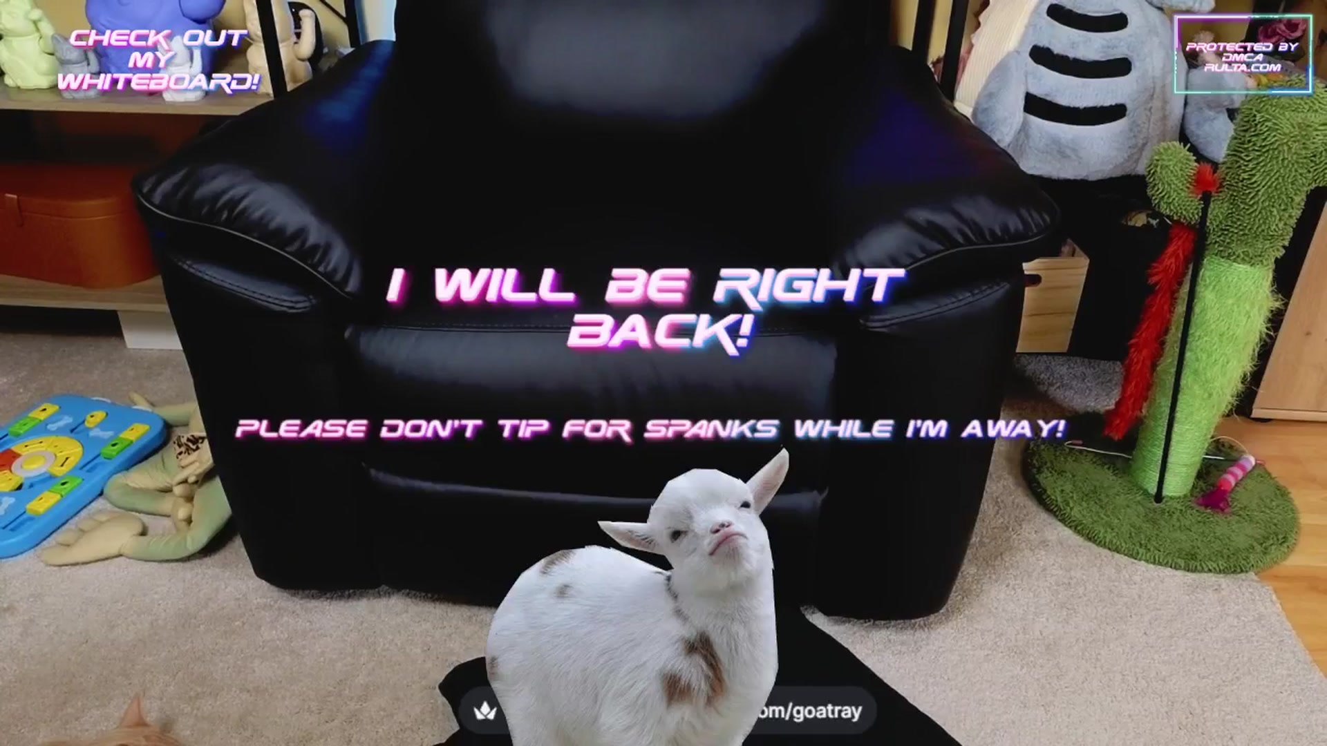 TamaraRay video thumbnail
