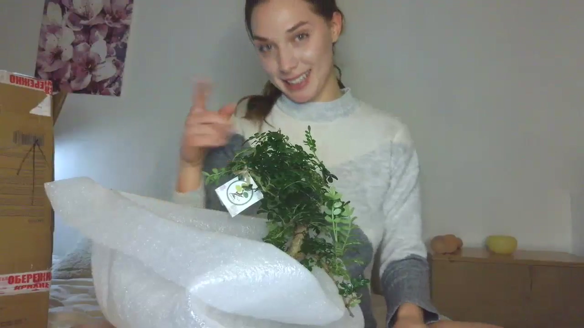 HaleyReed video thumbnail